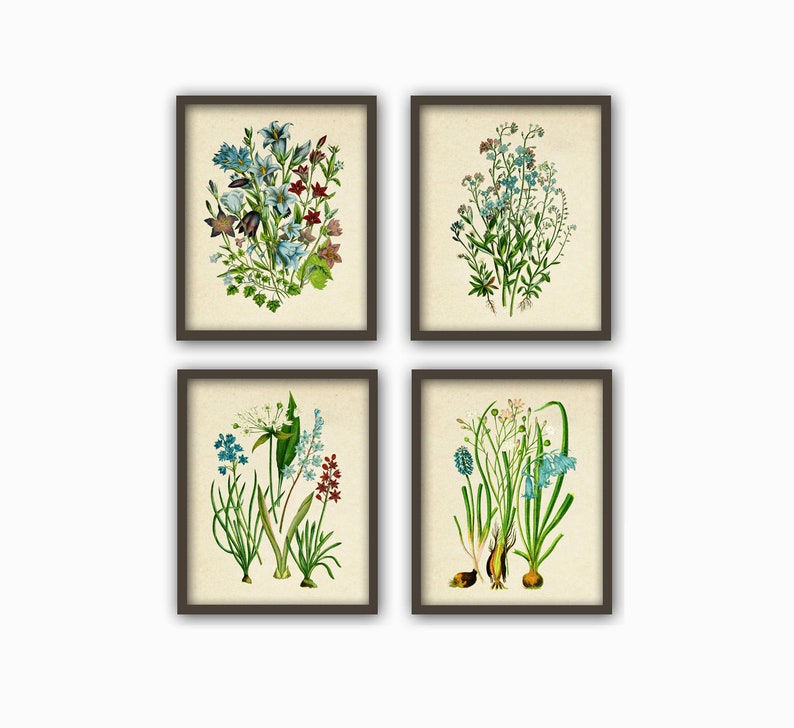 May include: Set of four botanical prints featuring blue, white, and red flowers with green leaves. The prints are framed in brown wood frames.