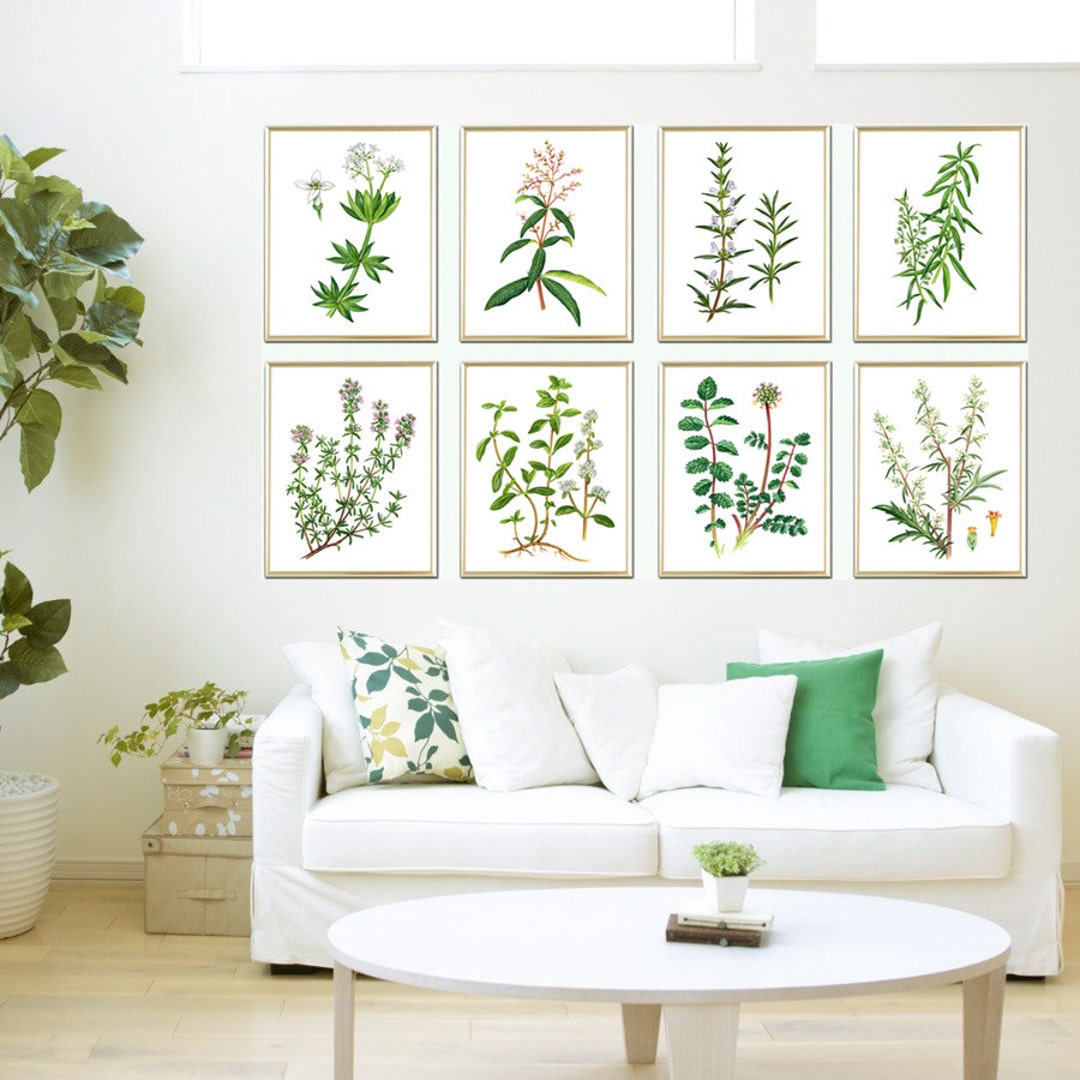 Flowers Botanical Print Plant Illustration Botanical Art - Etsy