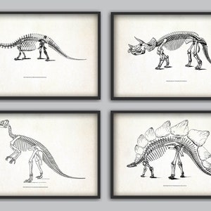 Dinosaur Print Set of 4, Dinosaur Skeleton, Prehistoric Dinosaur, Geology Student, Paleontology, Fossil Book Plate Illustration