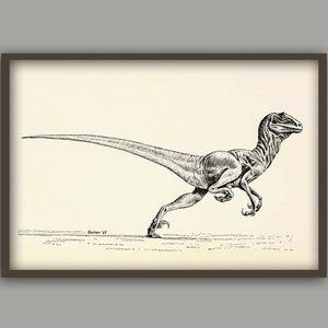 Pu&ograve; includere: Disegno in bianco e nero di un dinosauro che corre. Il dinosauro &egrave; rappresentato in uno stile realistico con dettagli anatomici precisi. Il disegno &egrave; su sfondo bianco.