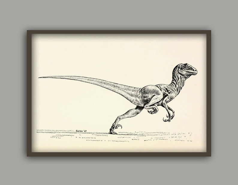 Pu&ograve; includere: Disegno in bianco e nero di un dinosauro che corre. Il dinosauro &egrave; rappresentato in uno stile realistico con dettagli anatomici precisi. Il disegno &egrave; su sfondo bianco.