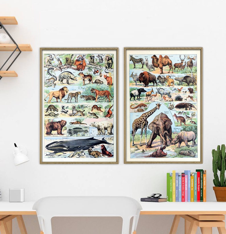 Set of 2 Animal Print Animals Poster Animals Wall Art Etsy