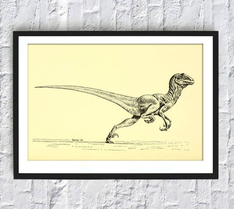 Pu&ograve; includere: Disegno in bianco e nero di un dinosauro che corre. Il dinosauro &egrave; un velociraptor, un piccolo dinosauro veloce con artigli e denti affilati. Il disegno &egrave; su uno sfondo giallo pallido.