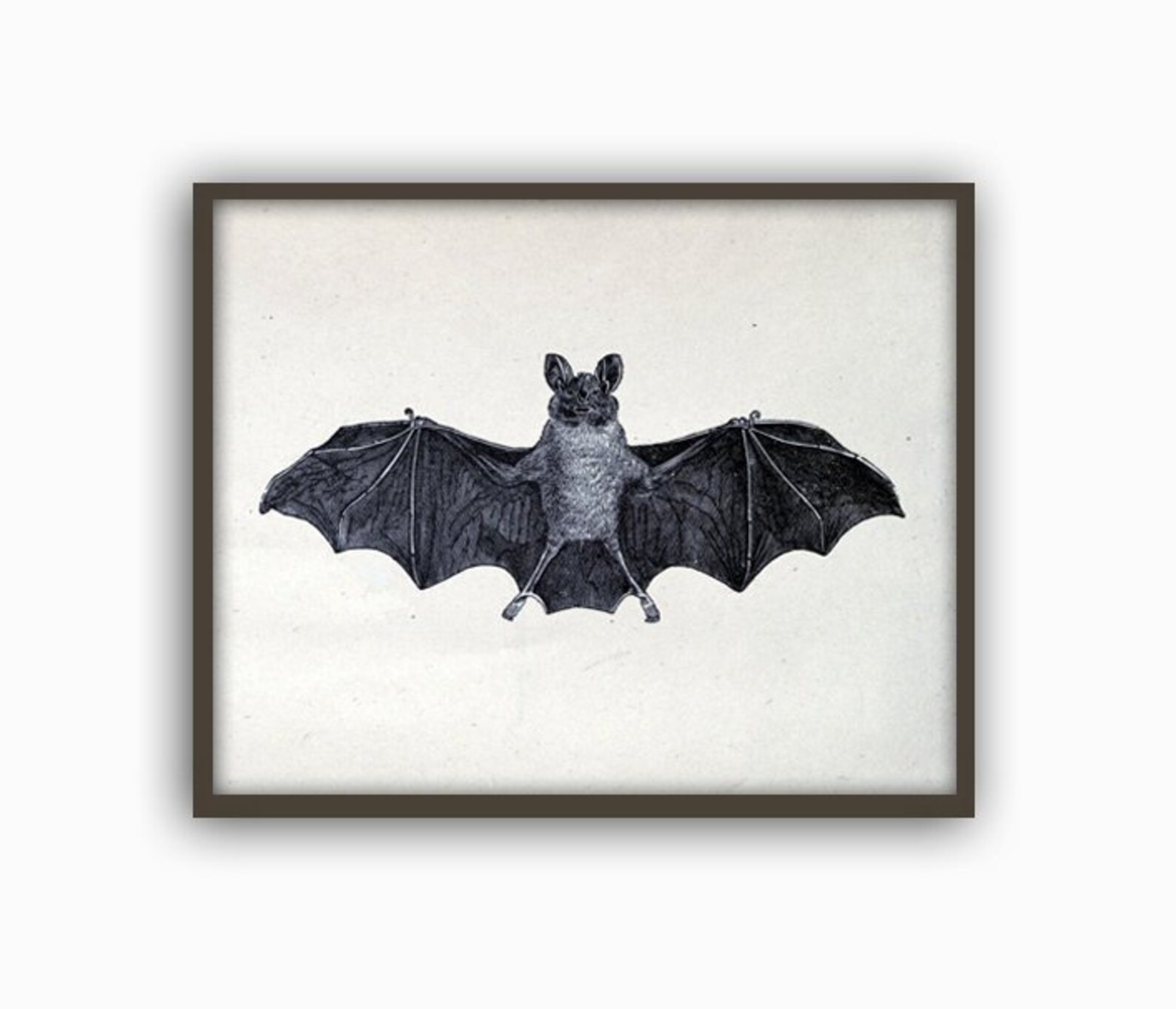 Bat Print Bat Wall Art Bat Poster Animals Print Etsy