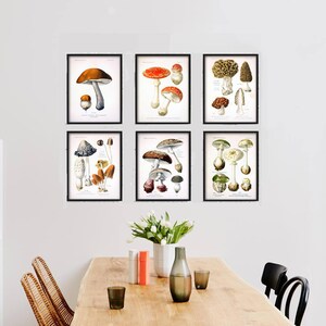 Svamptryck - Väggkonst för svamp - Botanisk poster - Skogsväxter - Köksväggkonst - Röd Orange Brun bild 3