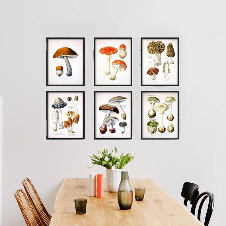 Mushroom Print Set of 6 Botanical Wall Art Mushroom Kitchen Etsy