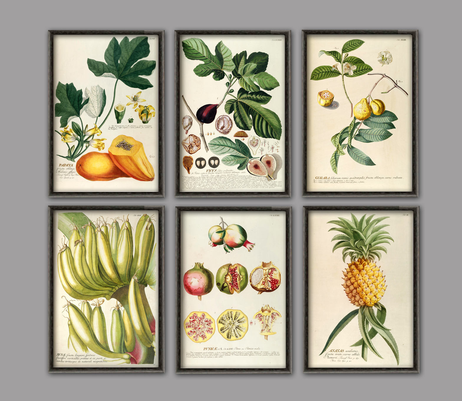 Fruit Kitchen Wall Art Print Fruit Decor Vintage Kitchen Etsy