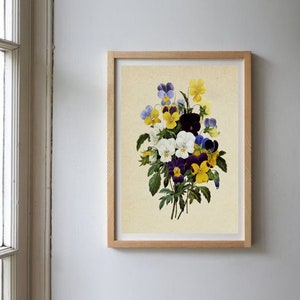 K&ouml;nnte beinhalten: Eine Vintage-botanische Illustration eines Strau&szlig;es aus violetten, gelben und wei&szlig;en Stiefm&uuml;tterchen. Die Stiefm&uuml;tterchen sind in einer Traube angeordnet, wobei die Bl&uuml;tenbl&auml;tter nach au&szlig;en zeigen. Der Hintergrund ist cremefarben.