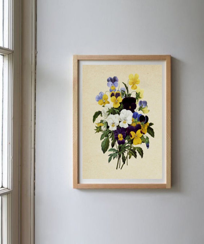 K&ouml;nnte beinhalten: Eine Vintage-botanische Illustration eines Strau&szlig;es aus violetten, gelben und wei&szlig;en Stiefm&uuml;tterchen. Die Stiefm&uuml;tterchen sind in einer Traube angeordnet, wobei die Bl&uuml;tenbl&auml;tter nach au&szlig;en zeigen. Der Hintergrund ist cremefarben.