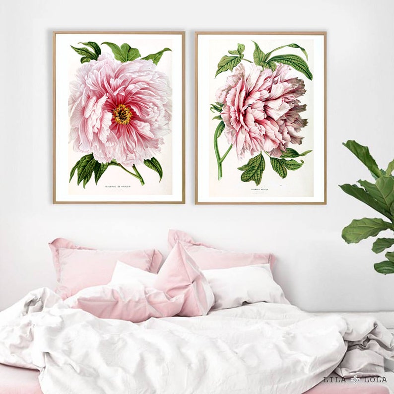 K&ouml;nnte beinhalten: Zwei gerahmte botanische Drucke von rosa Pfingstrosen mit gr&uuml;nen Bl&auml;ttern. Die Drucke sind in einem einfachen wei&szlig;en Rahmen mit goldener Umrandung.