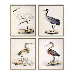 Bird Print Set, Heron, Crane, Large Wall Art Decor, Home Gallery Wall