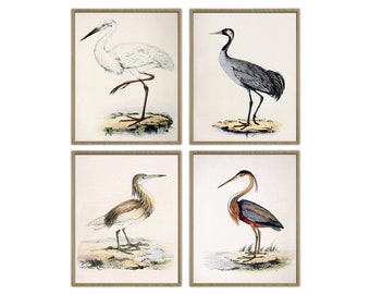 Conjunto de estampas de pássaros, garça, guindaste, decoração de parede grande, galeria de parede para casa