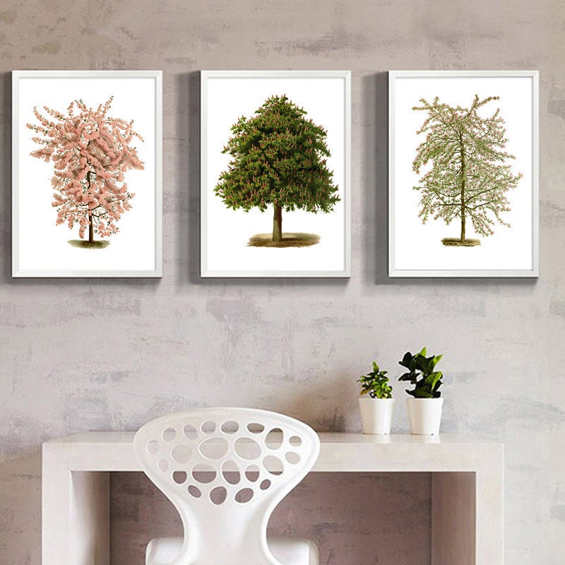 Tree Prints Set of 3 Botanical Home Decor Tree Botanical | Etsy