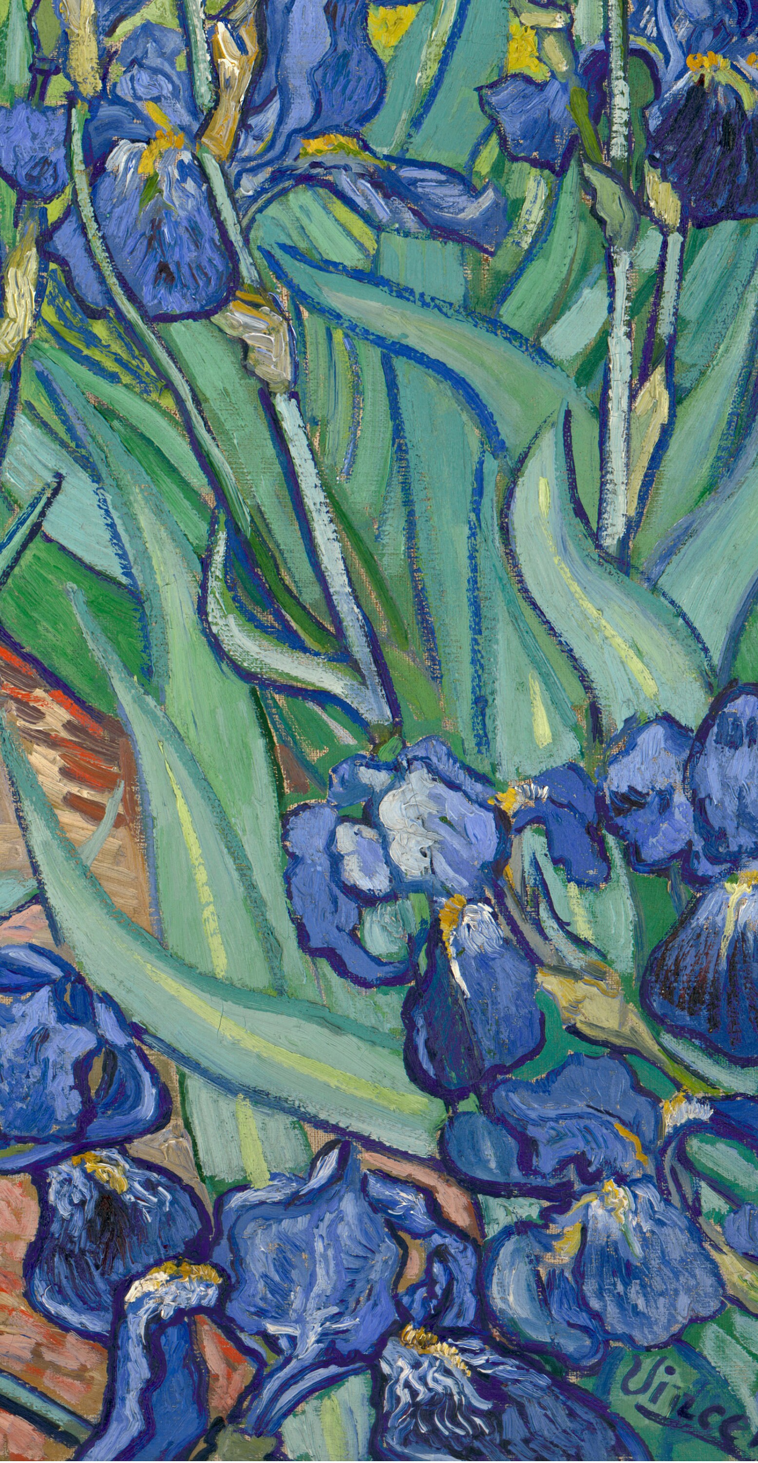 Vincent Van Gogh Paintings Print Set of 4 Van Gogh Flower - Etsy