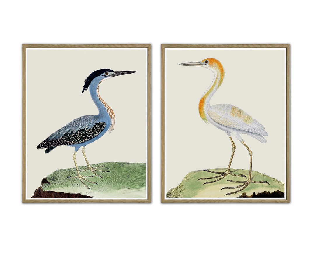 Bird Print Set of 2, Bird Wall Decor, Large Wall Art, Gallery Wall - Etsy