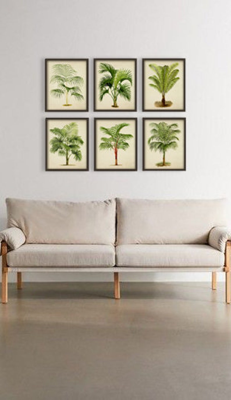 May include: Set of six botanical illustrations of palm trees in a vintage style. Each print features a different species of palm tree with detailed foliage and a light brown background.