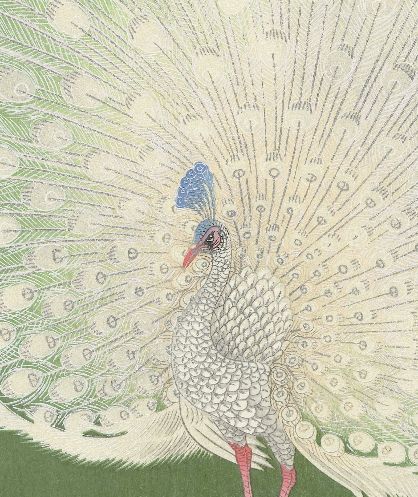 小原古邨による白孔雀のアートプリント、現代と伝統的なインテリアに