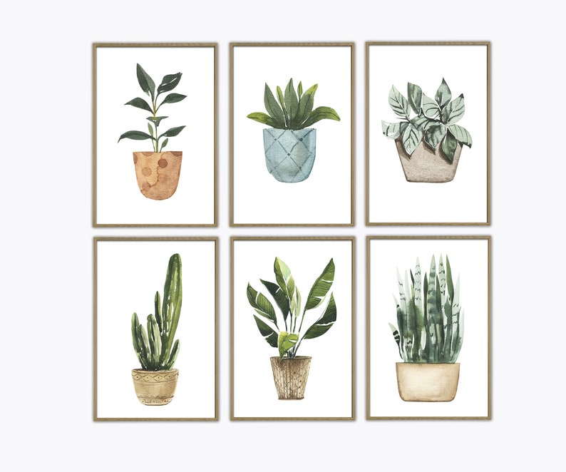 May include: Set of six watercolor illustrations of potted plants in simple frames. The plants include a snake plant, a cactus, a peace lily, a ZZ plant, a monstera, and a philodendron.
