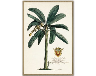 Palm Print, Vintage Botanical Illustration Wall Decor, Palm with Coat of Arms