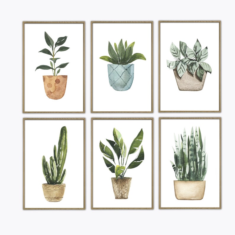 May include: Set of six watercolor illustrations of potted plants in brown frames. The plants include a cactus, a snake plant, a peace lily, a succulent, a monstera, and a ficus.