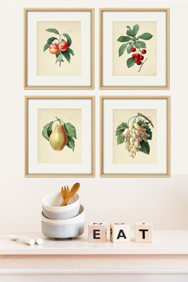 Fruit Print Kitchen Wall Decor Fruit Botanical Prints Set of Etsy