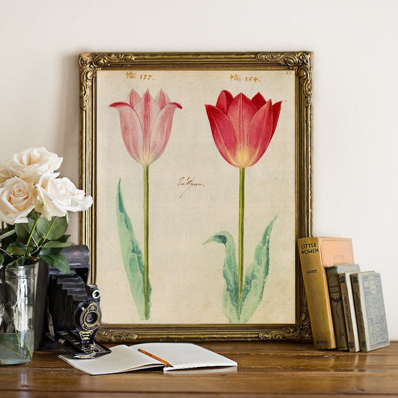 May include: A vintage botanical print featuring two tulips, one pink and one red, with green leaves and stems. The print is framed in a gold frame and has the text "No. 137." and "No. 154." at the top.