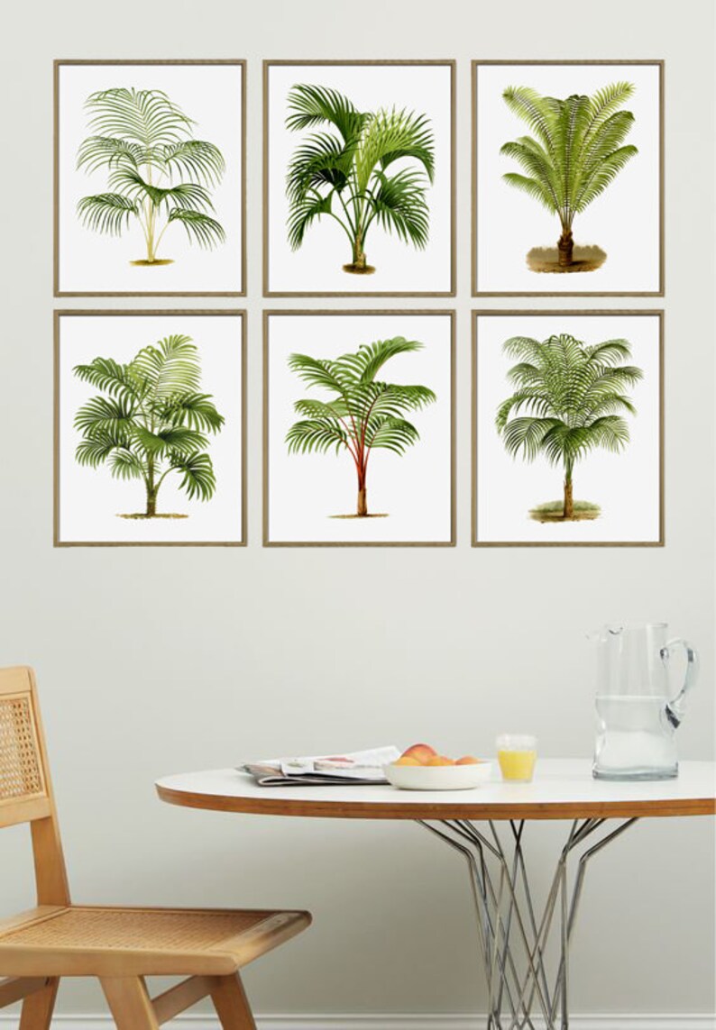 May include: Six framed botanical illustrations of palm trees, arranged in a grid on a white wall. The frames are a light brown wood.