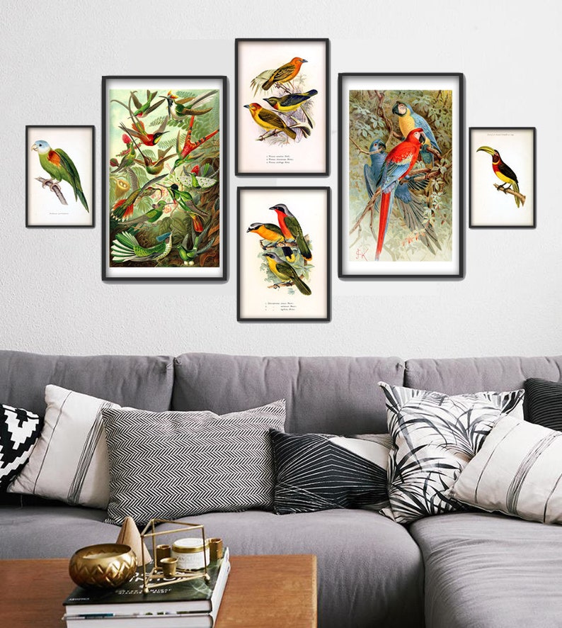 Birds Print Set of 6 Tropical Birds Gallery Bird Wall Art | Etsy
