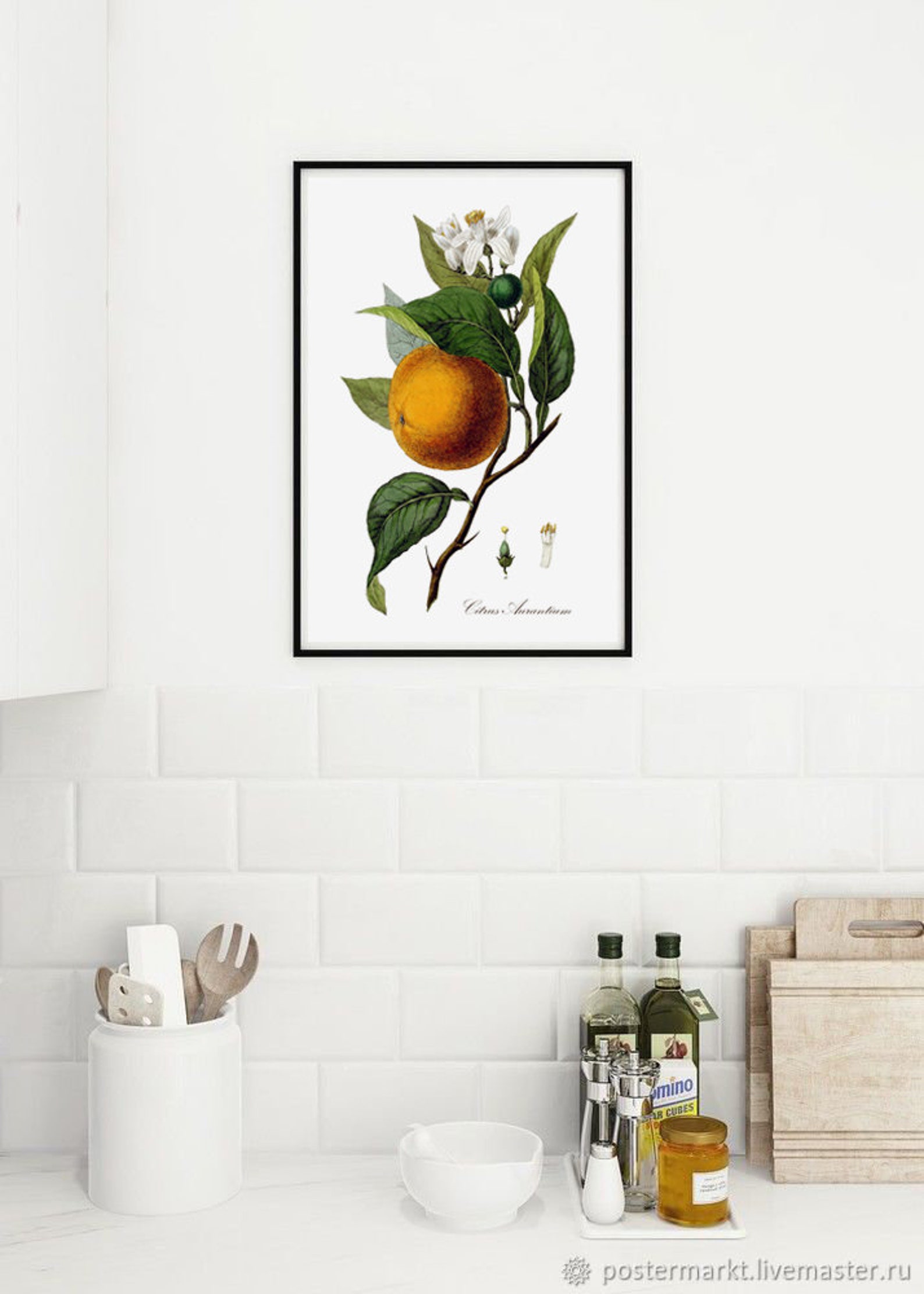 Fruit Kitchen Wall Art Print Antique Botanical Illustration Etsy
