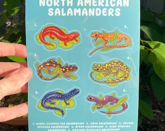 Salamanders Sticker Sheet - Weatherproof Glossy Stickers
