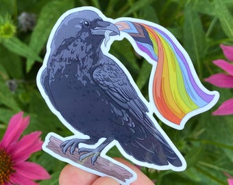 Pride Crow Sticker - Weatherproof Vinyl LGBTQ Decal