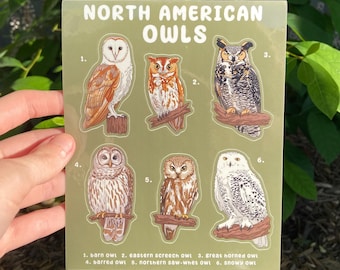 Owls Sticker Sheet - Weatherproof Glossy Stickers
