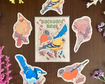 Backyard Bird Sticker Pack - Matte Vinyl, Cardinal, Robin, Goldfinch, Dove, Blue Jay