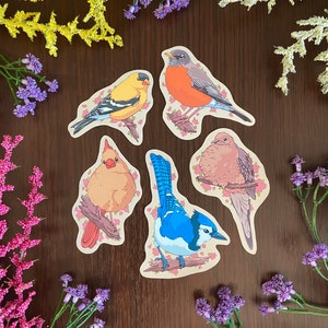 Pack d'autocollants pour oiseaux de jardin | Stickers oiseaux pour ordinateur portable, lot d'autocollants oiseaux, stickers oiseaux mignons, colombe, chardonneret, rouge-gorge, geai bleu, cardinal