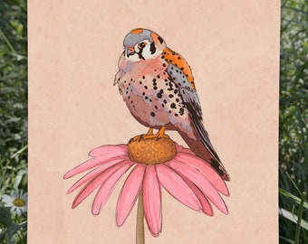 American Kestrel Art Print - Bird Nursery Decor, Falcon Wall Art