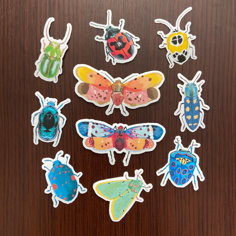 Pu&ograve; includere: Un set di dieci adesivi di insetti colorati che rappresentano una variet&agrave; di specie, tra cui farfalle, coccinelle e scarabei. Gli adesivi sono perfetti per aggiungere un tocco di fantasia a qualsiasi progetto.