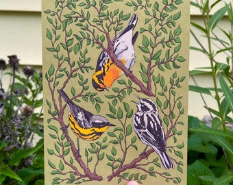 Warblers Art Print - Ornithology Wall Art