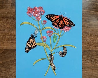 Monarch Butterflies Art Print - Insect Wall Decor, Entomology