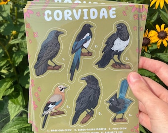 Corvidae Bird Sticker Sheet - Weatherproof Glossy Stickers