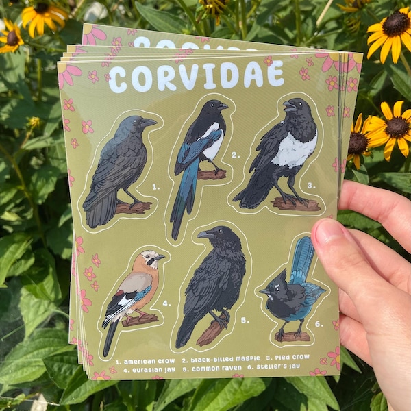 Corvidae Bird Sticker Sheet - Weatherproof Glossy Stickers