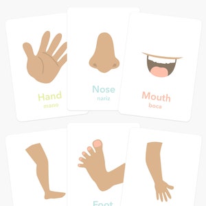 Tarjetas flash de partes del cuerpo, materiales educativos para niños pequeños en edad preescolar