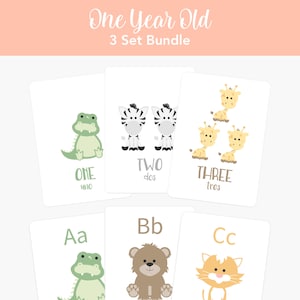 One Year Old Flash Card Bundle, First Birthday Gift, Toddler Gift, Montessori Educational Gift, Toddler Gift, Back To School, Homeschool