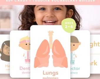 Tarjetas didácticas sobre las primeras palabras del cuerpo humano para niños pequeños / Tarjetas de aprendizaje Montessori sobre las partes del cuerpo / Los cinco sentidos para preescolares / Vocabulario de médicos y dentistas