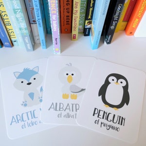 May include: Three flashcards with illustrations of an arctic fox, an albatross, and a penguin. Each card has the English name of the animal and the Spanish translation.