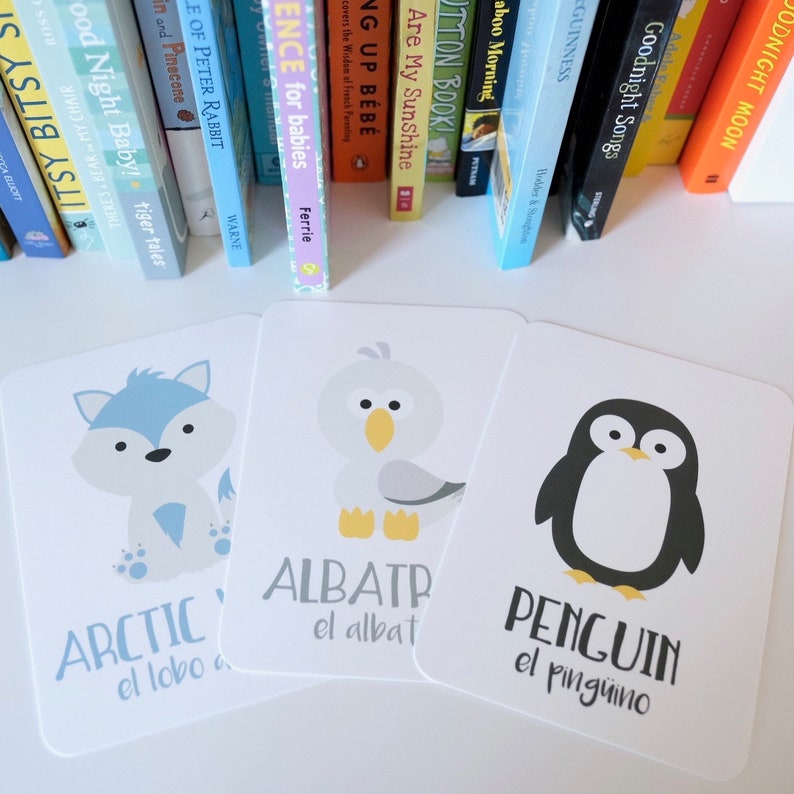 May include: Three flashcards with illustrations of an arctic fox, an albatross, and a penguin. Each card has the English name of the animal and the Spanish translation.