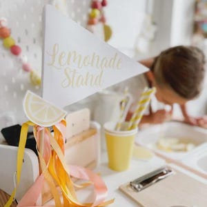 Lemonade Stand Pretend Play Printable | Toddler Summer Activity | Dramatic Play Lemonade Stand | Kids Business Play | Preschool Learning image 13