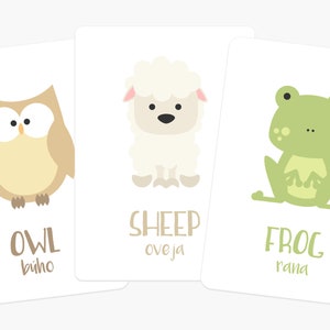 May include: Three flashcards with illustrations of an owl, a sheep, and a frog. Each card has the English and Spanish names for the animal.