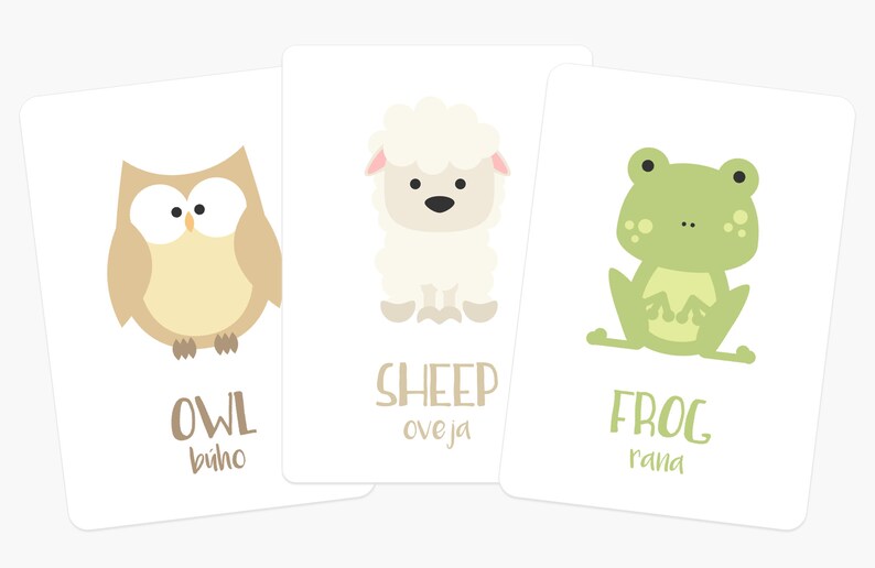 May include: Three flashcards with illustrations of an owl, a sheep, and a frog. Each card has the English and Spanish names for the animal.