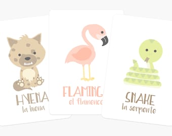 Desert Animal Flashcards, Hand-Illustrated Toddler Education