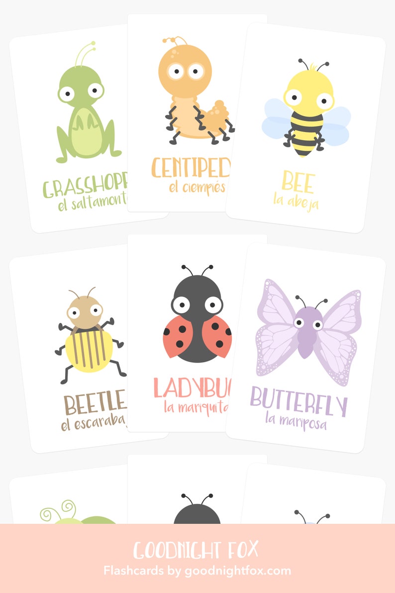 May include: A set of 9 colourful flashcards featuring different insects with their names in English and Spanish. The insects include a grasshopper, centipede, bee, beetle, ladybug, butterfly, and three more. The flashcards are designed for children learning about insects.